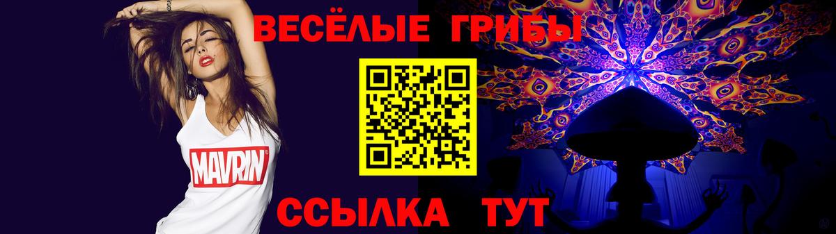 Дивногорск  Псилоцибиновые грибы GOLDEN TEACHER  Вход с VPN 